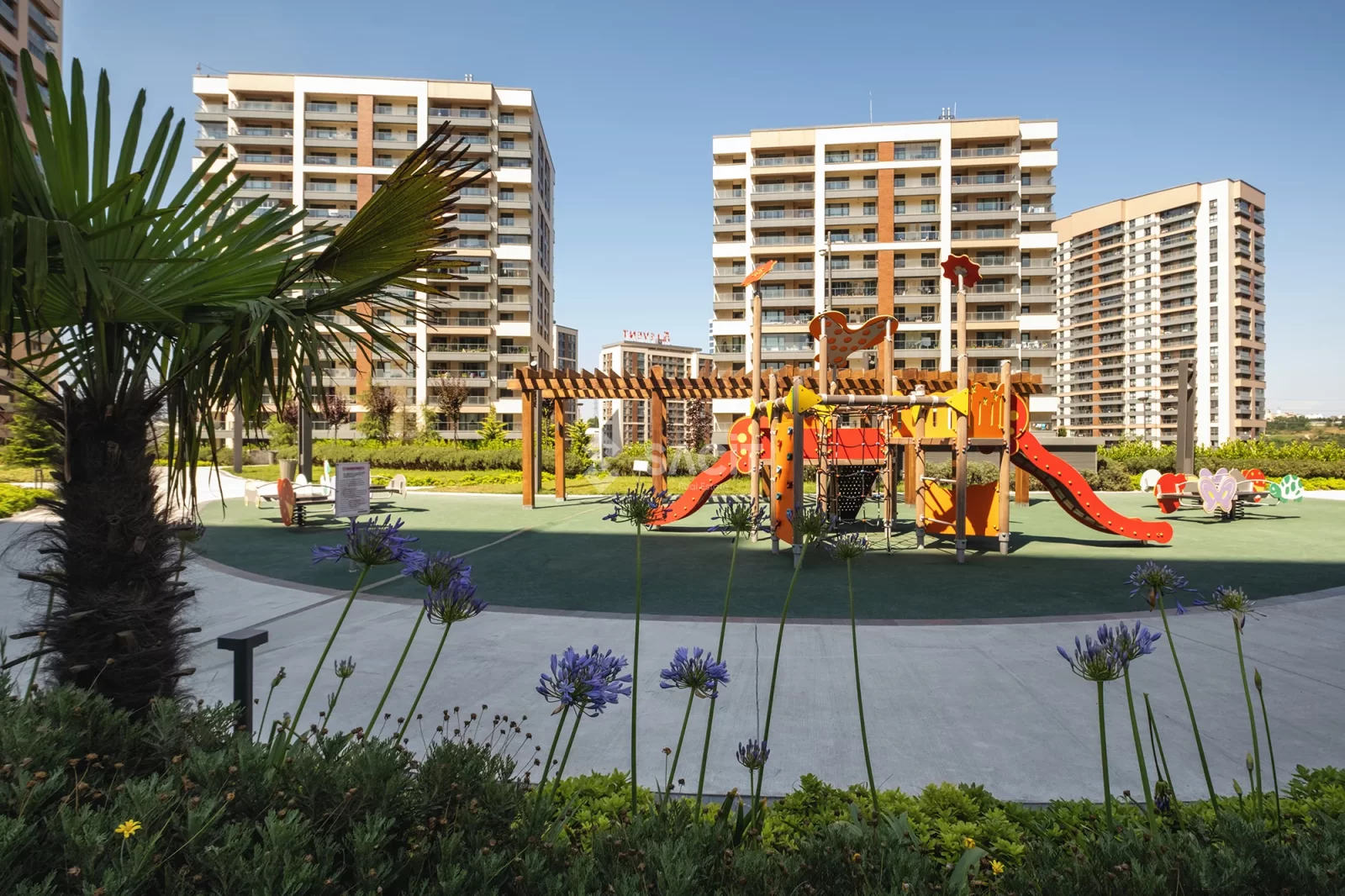 5. Levent Torunlar