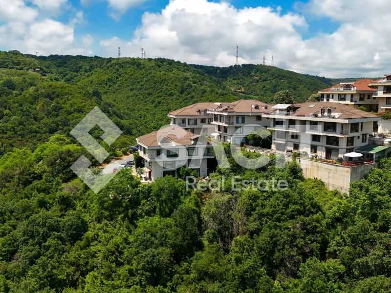 Gravür Park Orman Evleri